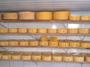 Queijo Artesanal Premium Fazenda Bela Vista 60 dias 1Kg (O queijo mais premiado da Fazenda Bela Vista/ 2 ouros na França e 2 prata no Mundial da França)