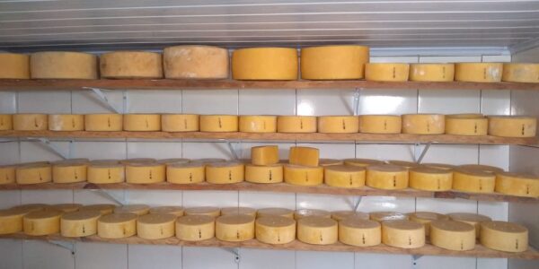 Queijo Artesanal Premium Fazenda Bela Vista 60 dias 1kg (Ouro no Mundial de Queijos da França em 2019 e 2021) - Imagem 2